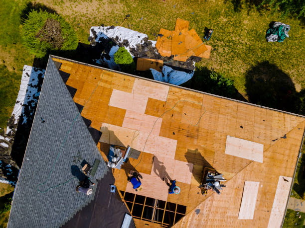 Best Metal Roofing Contractor  in Cutten, CA