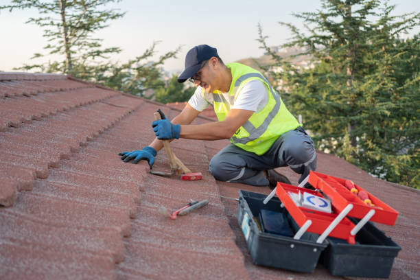 Best Residential Roofing Contractor  in Cutten, CA